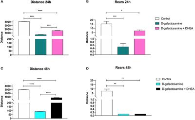 Possible Association Between DHEA and PKCε in Hepatic Encephalopathy Amelioration: A Pilot Study